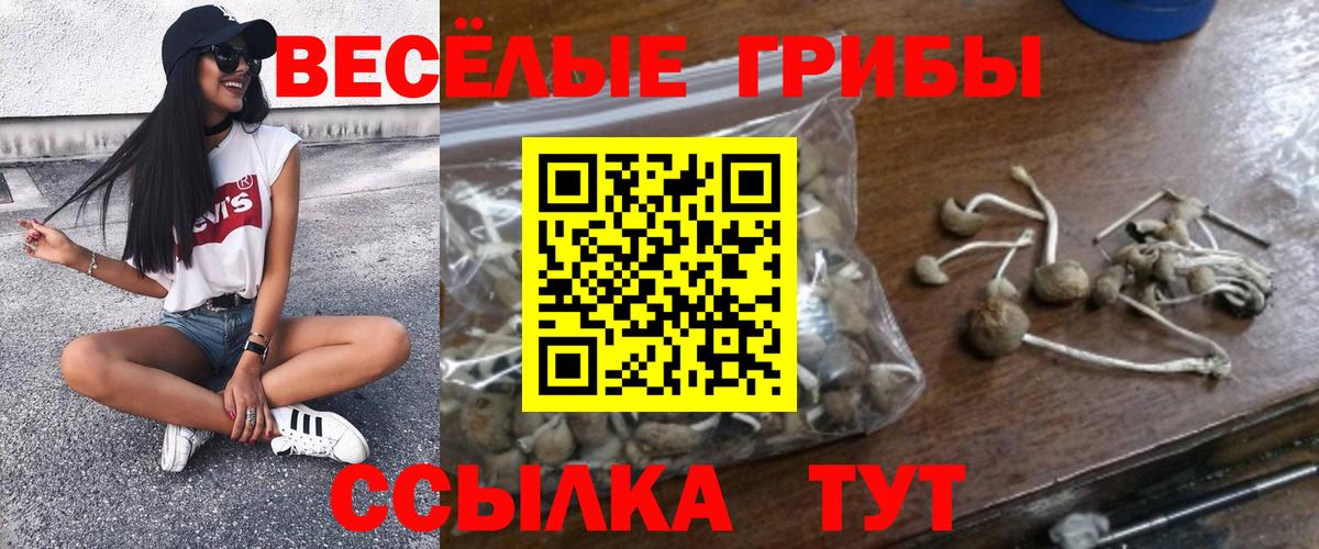 Будённовск  Галлюциногенные грибы Magic Shrooms  Вход с VPN  Псилоцибиновые грибы Magic Shrooms 