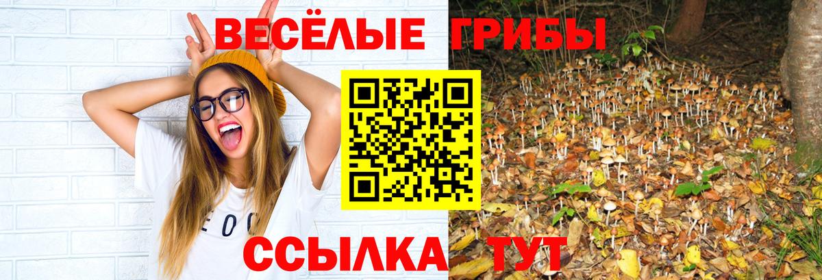 Галлюциногенные грибы Magic Shrooms Будённовск